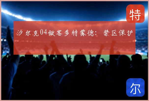 沙尔克04做客多特蒙德：禁区保护